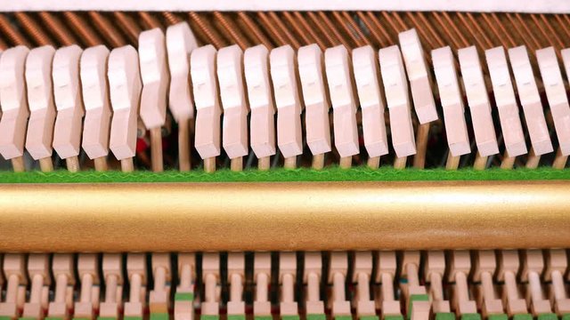Inside view of a piano, with hammers happily playing low register notes.