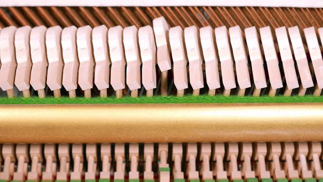 Piano hammer playing one low sustained note, with low register strings in the background.