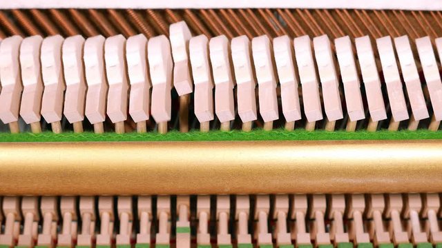Upright piano hammers playing a chromatic ascending scale, with strings in the background