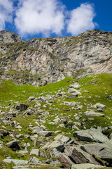 The Alps