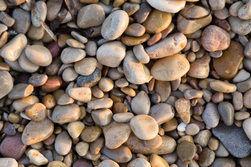 Piedras húmedas variadas en la playa
