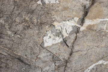 Limestone texture - background