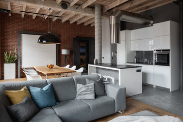 Apartment with gray sofa