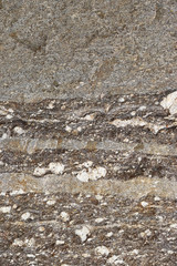Gneiss stone texture - background
