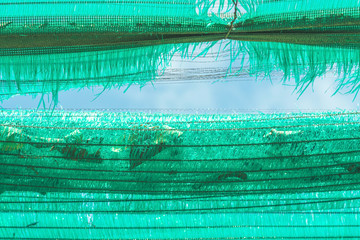 The Old green sun protection mesh and lack. Can not prevent sunlight.