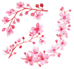Watercolor set with branch of delicate pink blooming flowers, bud and leaves isolated on white background. branch of cherry blossoms.