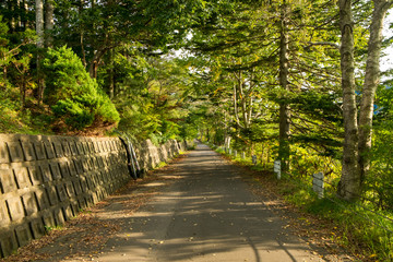 歩道のない道路