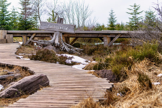 Lotharpfad im Schwarzwald