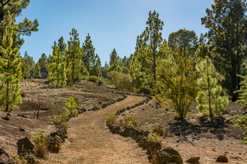 Fototapeta na wymiar Wide footpath leading through spectacular volcanic landscape.