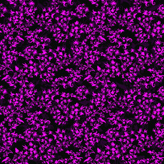 Obraz na płótnie Canvas Hand drawn flower seamless pattern. Pink floral backdrop tracery on black background, vector illustration