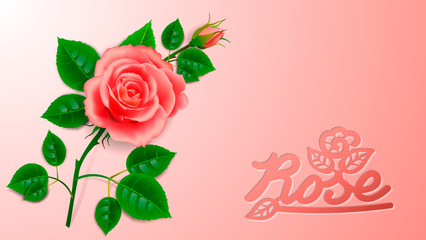 Realistic rose with bud and artistic inscription. Layout design for decoration of cards for the wedding day or birthday or anniversary.