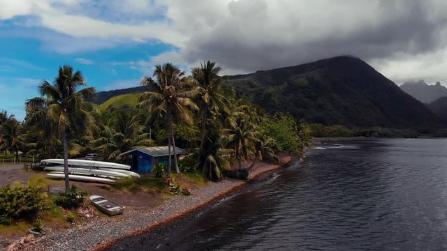 Aerial view of black sand beach with a driftwood trunk near Tautira village, Tahiti Iti island, French Polynesia, south Pacific ocean.
