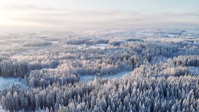 Flying over a frozen forest at sunset
