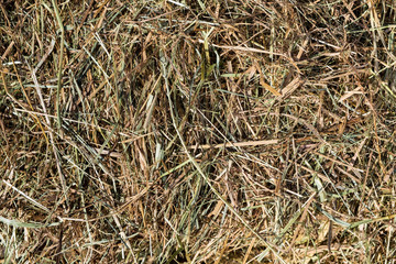 Hay as a background
