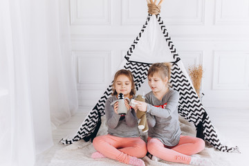 Two positive cheerful girls playing together at home with toys in children wigwam. Friendship, childhood, happiness concept © Andreshkova Nastya