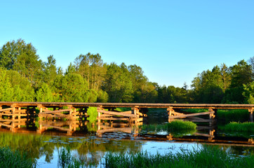 A wooden bridge of tree logs lies across a small river inside a wooded area among green nature. The "Bobr" River in the Republic of Belarus. Evening sunset on a small river in the forest © MaxSafaniuk