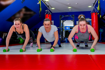 Fototapeta na wymiar A group of girls trains the muscles of the back doing fitness in the gym