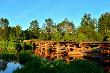A wooden bridge of tree logs lies across a small river inside a wooded area among green nature. The "Bobr" River in the Republic of Belarus. Evening sunset on a small river in the forest © MaxSafaniuk