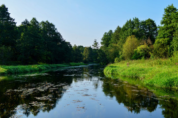 Fototapeta na wymiar View of the river in the forest area on a summer day. Travel to Belarus, the river Bobr. Natural wallpaper, sunlight from the sun, beauty of the ecological system