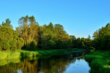 View of the river in the forest area on a summer day. Travel to Belarus, the river Bobr