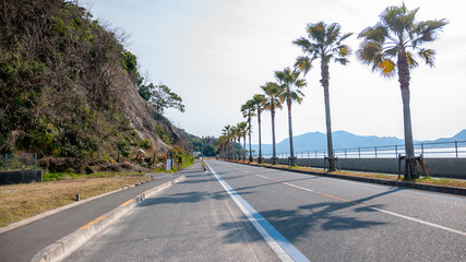 Landscape photo taken in Ikuchi Island, with a row of palm trees on the side of the empty road, while on the Shimanami Kaido cycling tour starting from Onomichi and ending at Imabari.