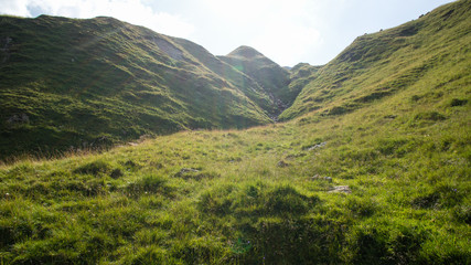 Fototapeta premium mountain meadow in summer sunshine
