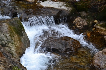Fototapeta premium Landschaft Wasser Natur Wald