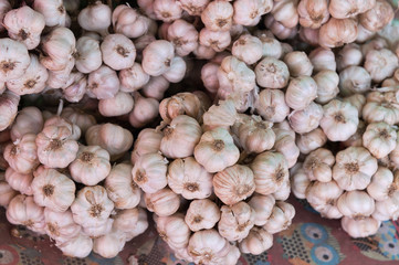 Garlic (Scientific name: Allium sativum) tied together in droves to available in the market.