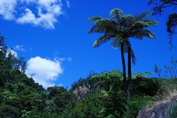 Fototapeta na wymiar 壮大な眺めのカランガハケ渓谷