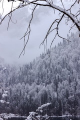 Beautiful winter lake Ritsa framed by branches