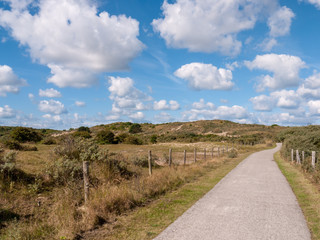 Fototapeta na wymiar View over sand dunes with grass, bushes and trees near Domburg, Zeeland, Netherlands
