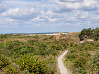 View over sand dunes with grass, bushes and trees near Domburg, Zeeland, Netherlands