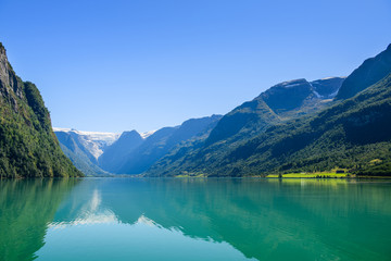 Green trees in foreground of water in lake during summer