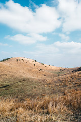 Yongnunioreum volcanic cone autumn nature landscape in Jeju Island, Korea