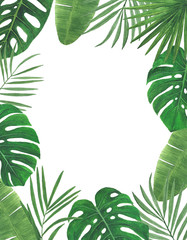 Tropics Watercolor illustrations Botanical decorations Decoration Postcard Invitation design decoration congratulation