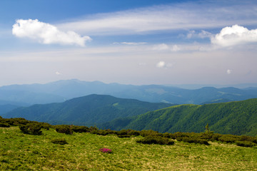 Green mountains panorama under blue sky on bright sunny day. Tourism and traveling concept, copy space background.