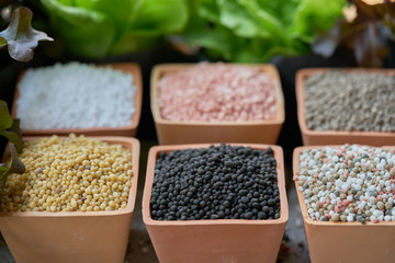 Six types of chemical fertilizers in clay pots and salad leaves