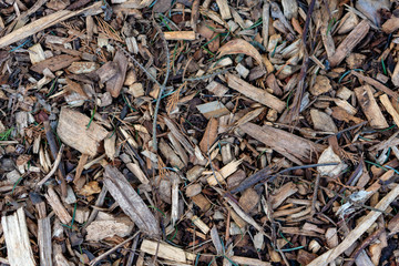 shavings on wood background