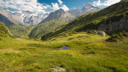 Fototapeta na wymiar green meadow and alp panorama in background