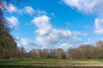 Obraz premium green field and blue sky