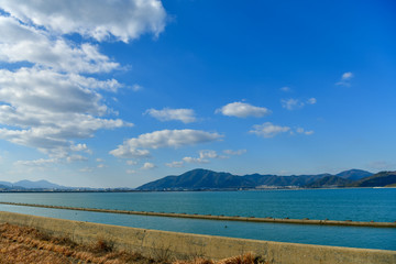 干潟で遊ぶ野鳥