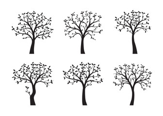Obraz premium Zestaw czarnych drzew z liśćmi. Ilustracji wektorowych.