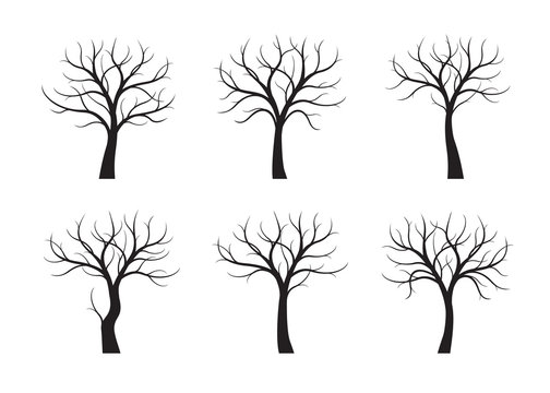 Set of Black Trees without leaves. Vector Illustration.