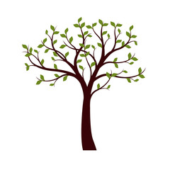 Obraz premium Green Tree with leaves on white background. Vector Illustration.