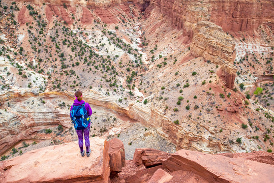 Young woman is looking at the Goosenecks in the Capitol Reef National park. Capitol Reef National Park's Panorama Point overlooks the a canyon of goose neck turn in Utah's Sulphur Creek..