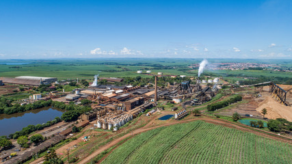 Fototapeta na wymiar Sugarcane plant producing renewable energy. Ethanol.
