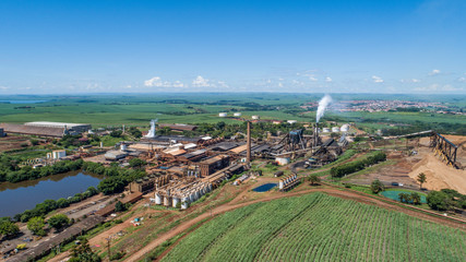 Sugarcane plant producing renewable energy. Ethanol.