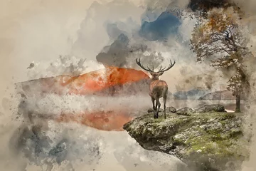 Foto op Plexiglas Hert Waterverfschilderij van een prachtig krachtig edelhert dat uitkijkt over het meer in de richting van het berglandschap in de herfstscène