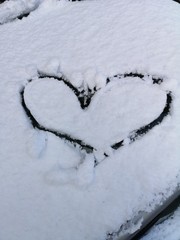 Neve