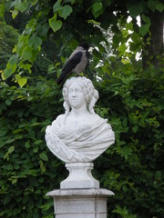 Fototapeta premium Kopfstand